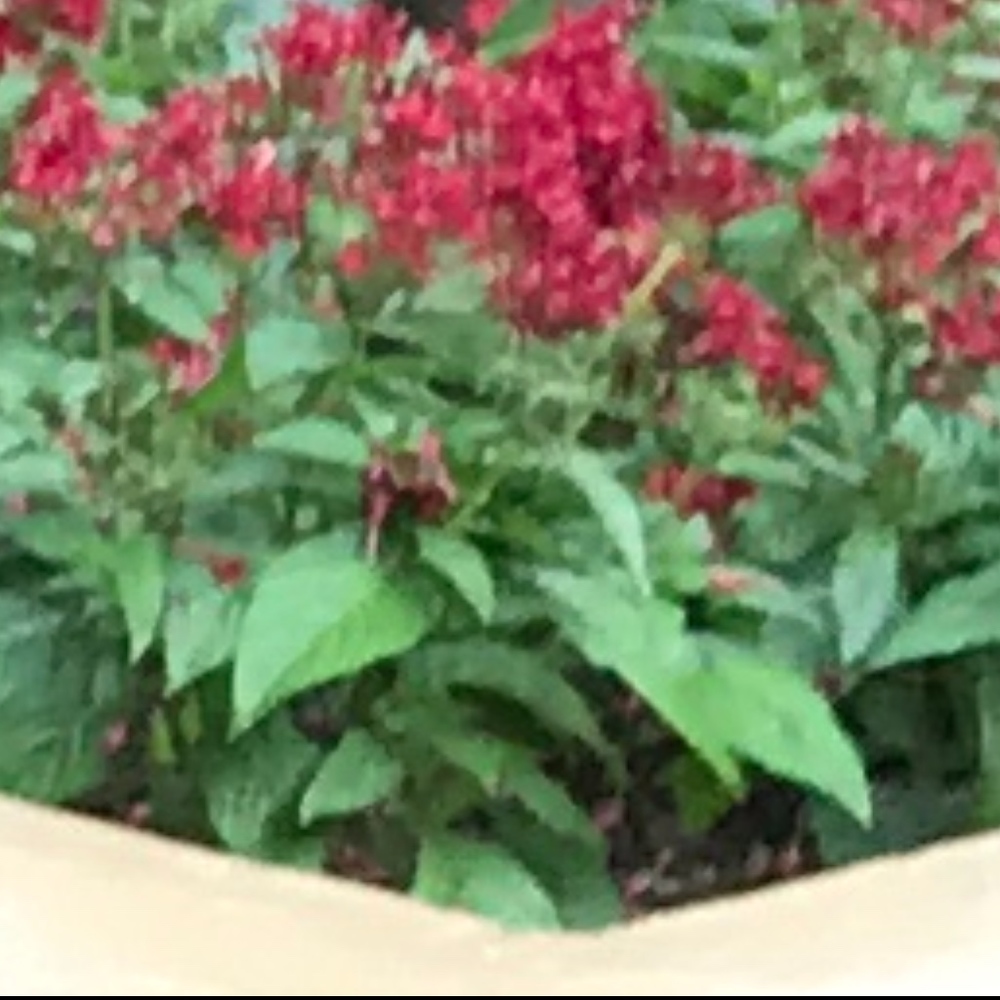 Meet your Posher, LM